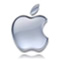 Apple iPod Mounts